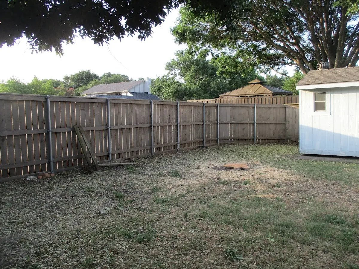 Cleared yard after professional tree removal in Richland